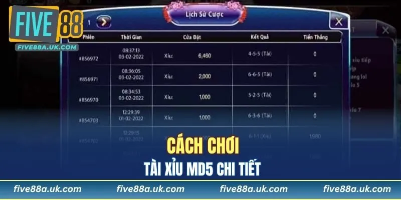 Cách chơi tài xỉu MD5 chi tiết