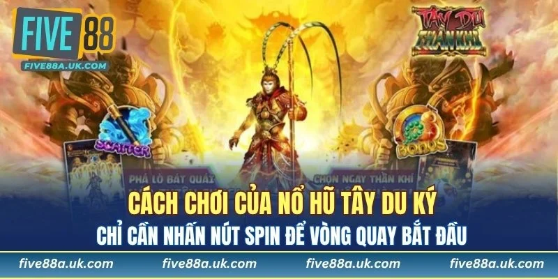 Hội viên có thể sử dụng tính năng chơi thử