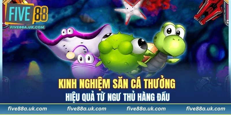 kinh nghiem san ca thuong hieu qua tu ngu thu hang dau