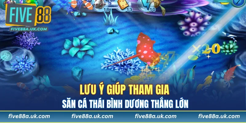Lưu ý giúp tham gia săn cá thái bình dương thắng lớn