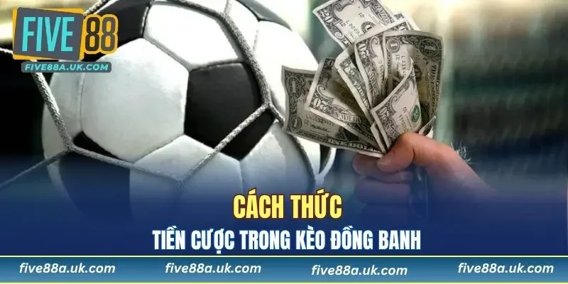 Tính tiền cược kèo sao cho dễ hiểu